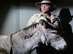 I just realized that the "elevator" George is standing in is Steve's office set from the beginning of the movie.